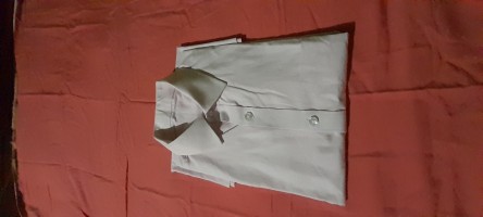 Mens Shirt