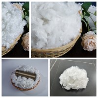 Recycled Polyester Fiber for Filling and Spinning