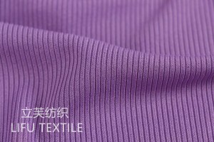 High-Quality 2x2 RIB Fabric for Clothing and Sportswear