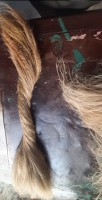 High-Quality Flax Scutched Long Fiber for B2B Needs